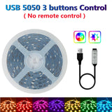 20M LED Strip Light