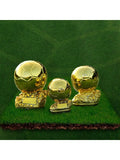 (Copie) 15/20/25cm Resin Soccer Trophy Statue, Indoor/Outdoor Decor, No Electricity Required