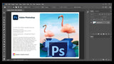 Photoshop cc 2020 ilimité